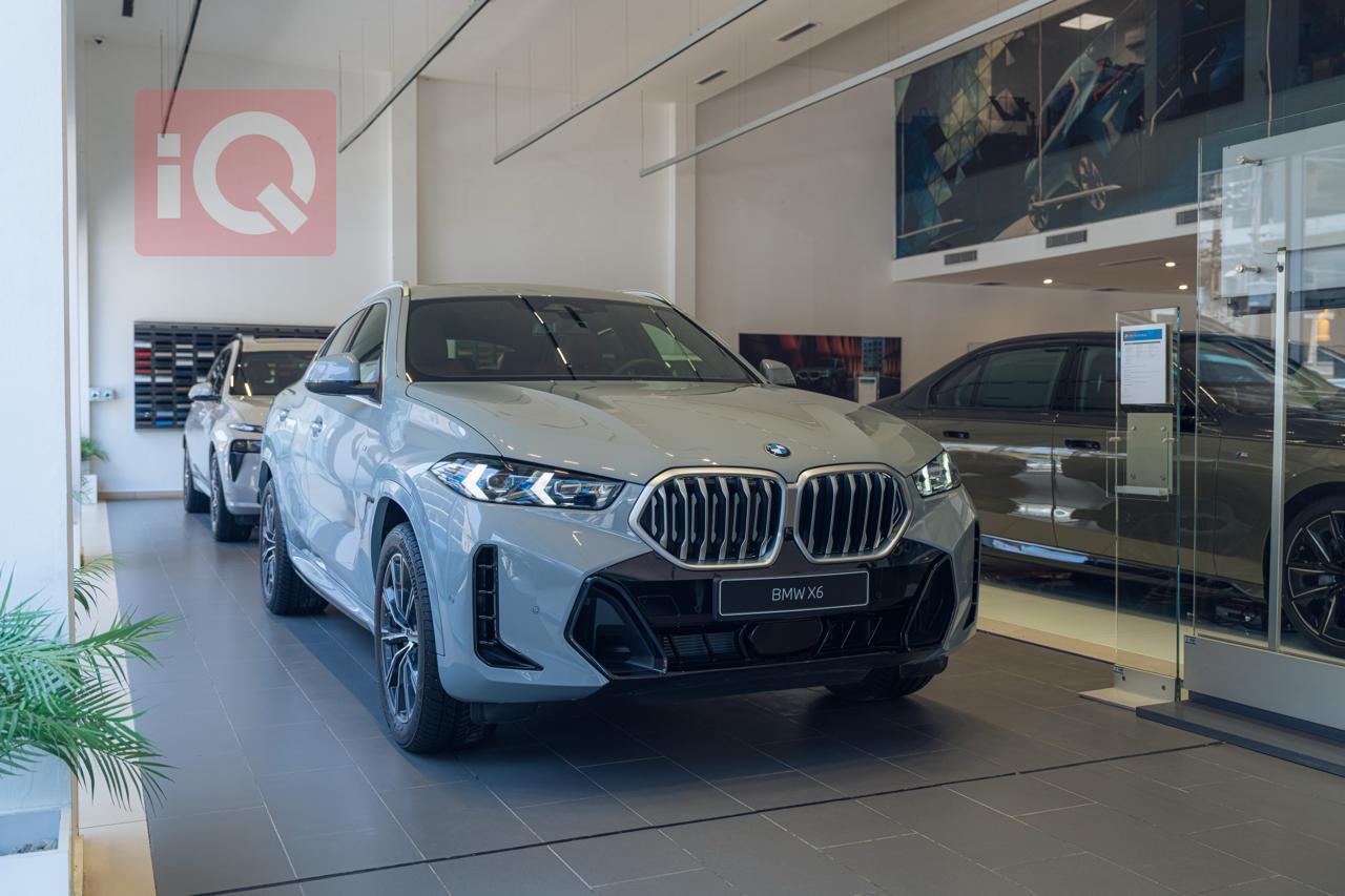 بی ئێم دەبڵیو X6